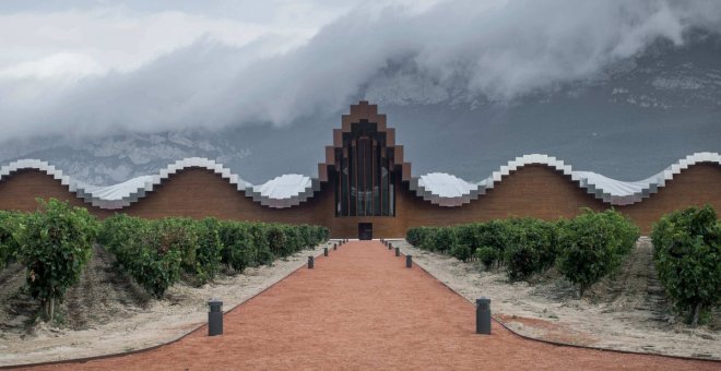 Turismo vinícola: bodegas y viñedos para conocer en España