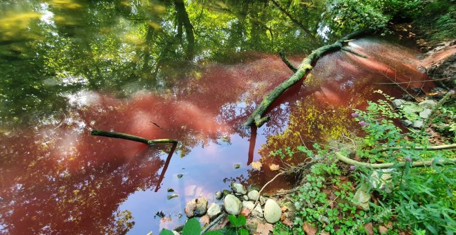 Ecologistas denuncian el vertido de sangre de un matadero a un río de Gipuzkoa