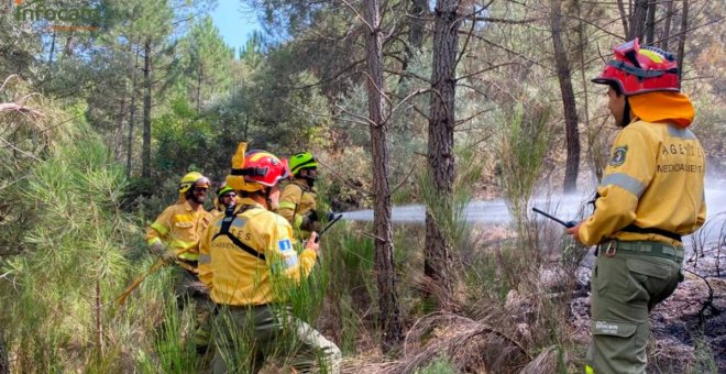 Uno de cada tres incendios declarados a lo largo de este verano en Castilla-La Mancha ha sido provocado