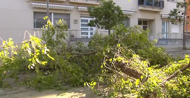 Los destrozos de la tormenta en zonas de Barcelona que dejaron herido a un menor de trece años