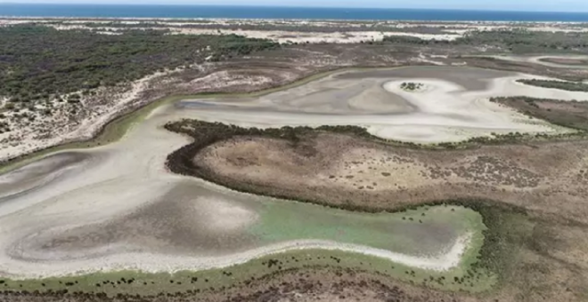 La última laguna permanente de Doñana se ha secado por la sequía y la sobreexplotación de acuíferos