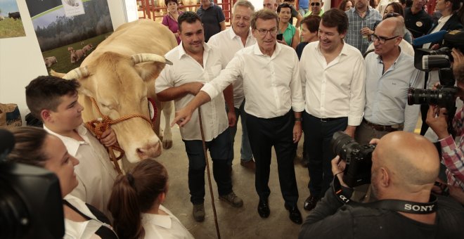 Feijóo se pasea por Salamanca con el presidente provincial del PP imputado por la financiación de las primarias de Mañueco