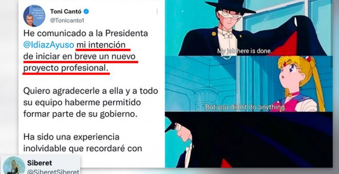 "Ahora es cuando habrá que ver la robustez del español, si sobrevive a la marcha de Toni Cantó o no"