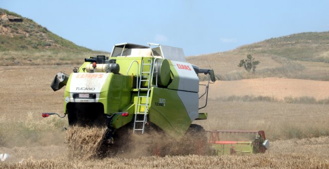 Explotaciones mayores y en menos manos, así evoluciona el censo agrario en Catalunya durante la última década