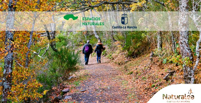 Vive, siente, 'naturalea' los parques de Castilla-La Mancha este otoño