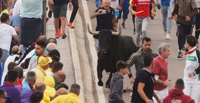 El Toro de la Vega se celebra sin la muerte del animal pero con centenares de personas hostigándole durante el recorrido