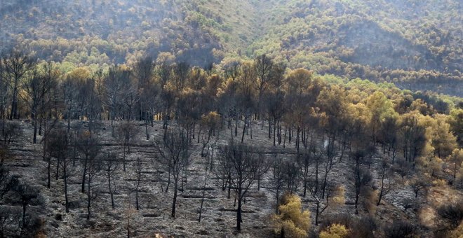 Estabilizado el incendio forestal de Granada