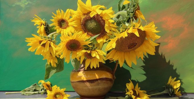 Cómo cuidar los girasoles para que nos aguante la flor