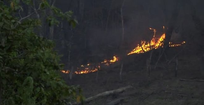 Un virulento incendio forestal amenaza la fauna y la flora en el sur de Bolivia