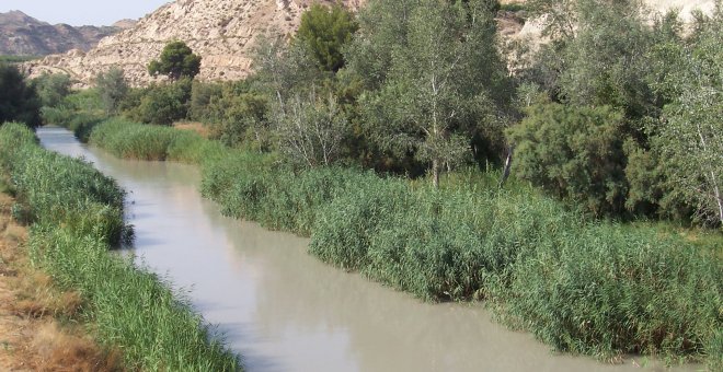 Detienen al agresor sexual de al menos tres mujeres en el sendero del río Segura
