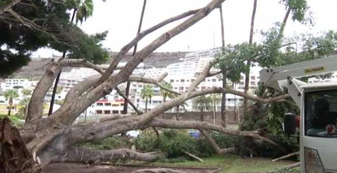 Canarias se recupera poco a poco del paso de "Hermine"