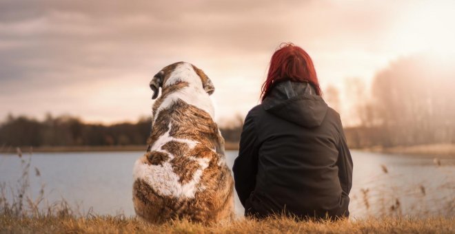 Cómo superar la muerte de tu amigo de cuatro patas