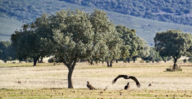 Castilla-La Mancha recibirá 600 millones en inversiones reales en los presupuestos generales del Estado para 2023