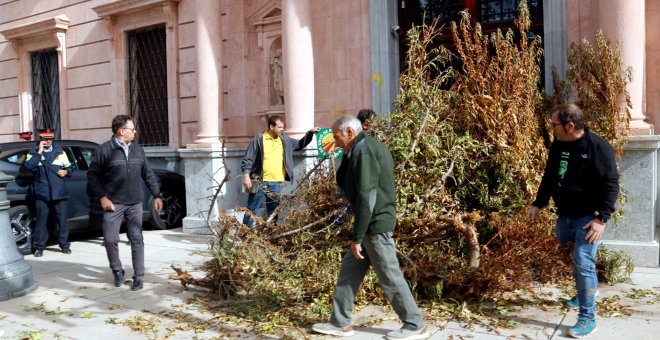 Una esmena 'salva' la prohibició als pagesos de fer cremes de restes vegetals