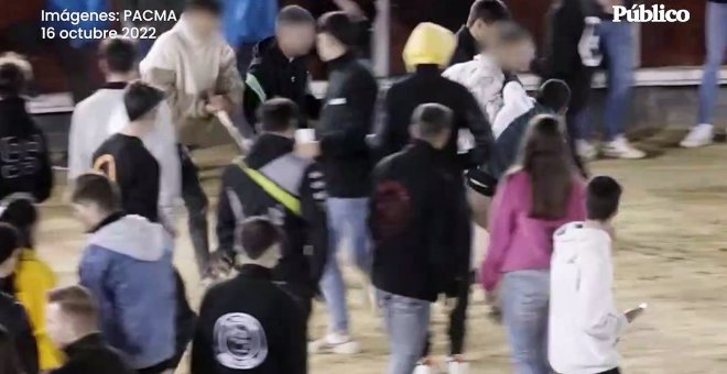 Vídeo | PACMA denuncia un 'after hours' taurino en las fiestas de Brihuega donde se hostigó a becerros hasta la extenuación