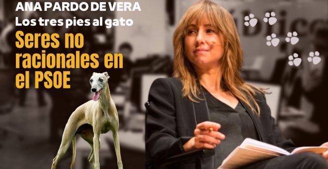Los tres pies al gato | 'Seres no racionales en el PSOE', por Ana Pardo de Vera