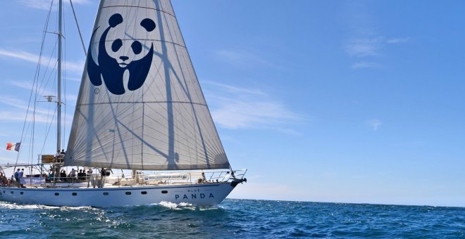 ¡Salvemos el Mediterráneo!, el mar más contaminado del mundo