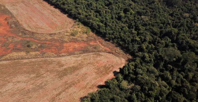 La deforestación en la Amazonia de Brasil batió un récord en el último año de mandato de Bolsonaro