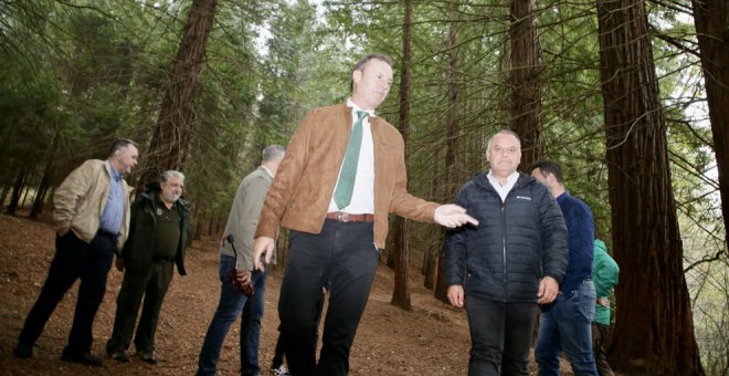 Comienzan las obras del aparcamiento disuasorio en los accesos al Monumento de las Secuoyas