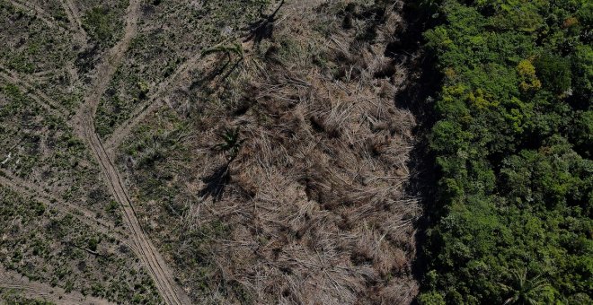 La deforestación en la Amazonía alcanza el nivel más alto en 15 años y los combustibles "sostenibles" tienen mucha culpa