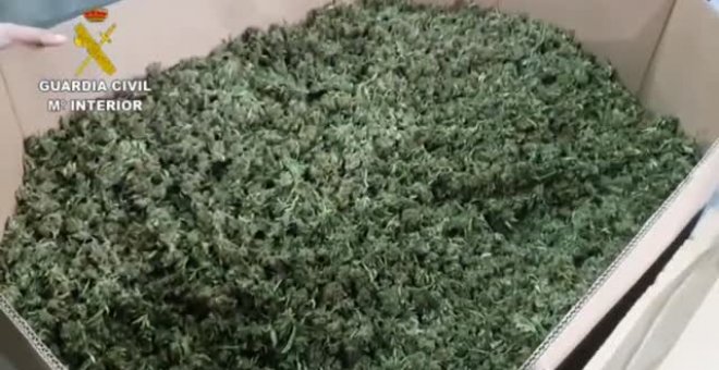 La Guardia Civil confisca el mayor alijo de marihuana encontrado hasta el momento