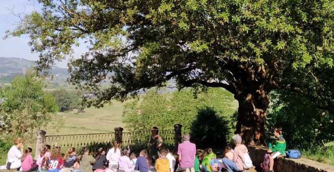 La Encina de San Roque de Colindres, candidata a Árbol del Año de España 2023