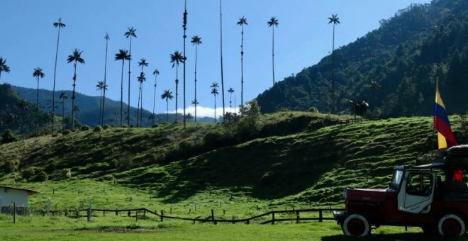 Trekking al corazón de Colombia: el Valle de Cocora