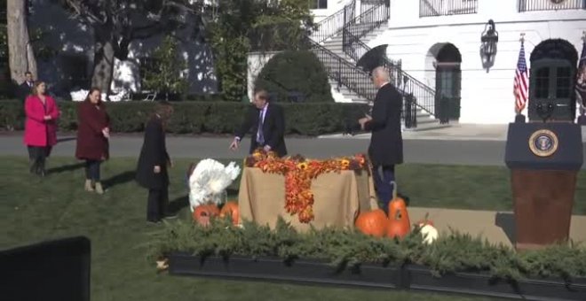 Joe Biden indulta a un pavo llamado 'Chocolate' por Acción de Gracias