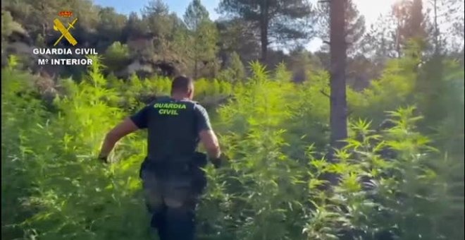 La Guardia Civil incauta 44 toneladas de marihuana en zonas inaccesibles del Pirineo Aragonés