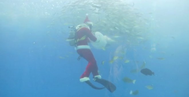 Papa Noel se pone las aletas y se adentra en un acuario de Japón