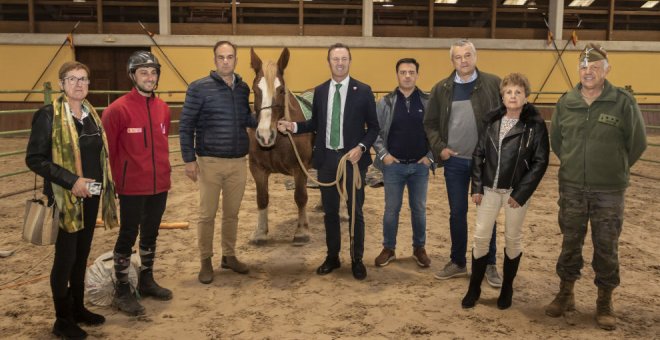 El Centro Militar de Cría Caballar de Mazcuerras desarrolla "con éxito" su plan de dinamización equina