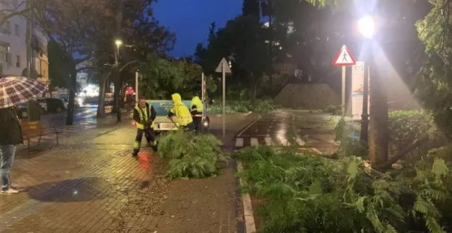 Un tornado hiere a una mujer y causa decenas de destrozos en Marbella