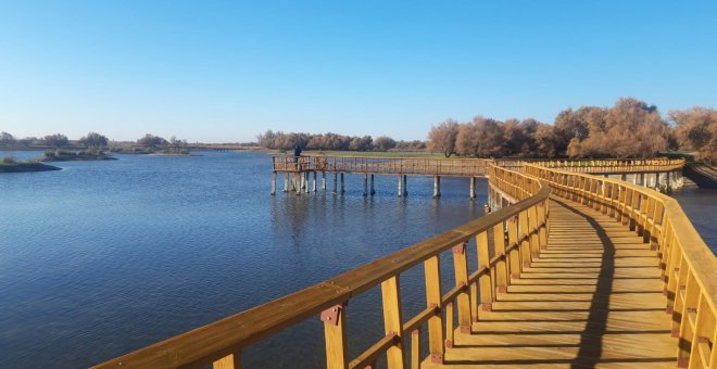 El itinerario de la isla del Pan, el más icónico de Las Tablas de Daimiel, vuelve a estar abierto a la visita del público