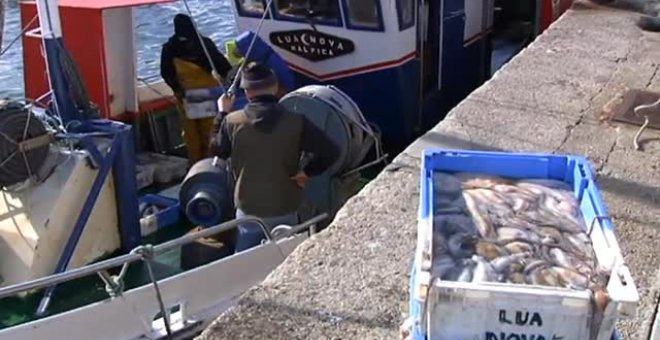 España aumenta las cuotas de pesca en el Atlántico, pero tiene que reducir los días de faena en el Mediterráneo