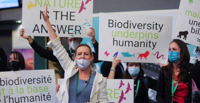 Ecologismo de emergencia - Montreal: se acaba el tiempo para detener la destrucción de la naturaleza