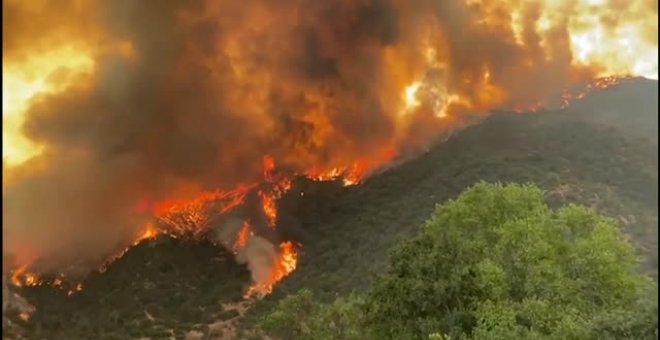 La ola de calor en Chile ya ha quemado más de 7000 hectáreas