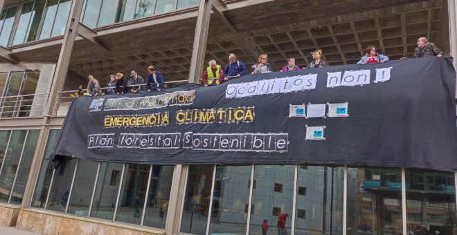 Protesta contra la expansión de eucaliptos en el medio rural asturiano