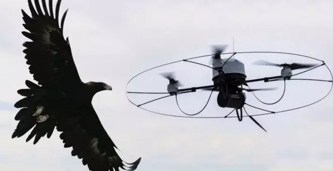 ¿Pájaros o drones?