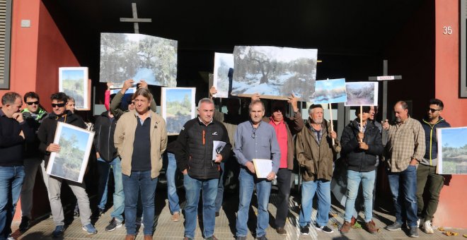 Agricultores y expertos apuntan a los seguros agrarios como la palanca para amortiguar la bajada de la renta del sector en Catalunya