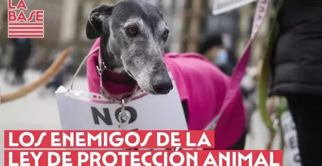 La Base #2x68 - Los enemigos de la Ley de Protección Animal