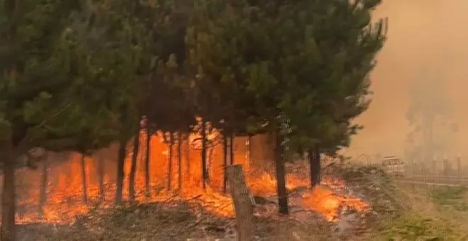 Chile reduce a 24 el número de fallecidos en devastadores incendios