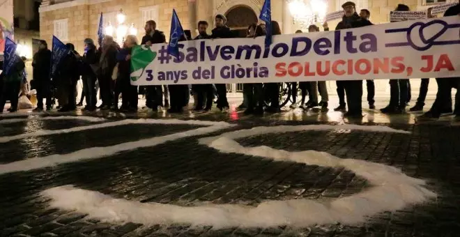 Entitats ecologistes i de l'Ebre llancen un "SOS" des de Barcelona per salvar el Delta tres anys després del Gloria