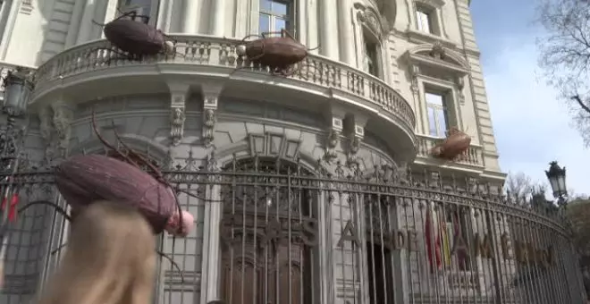 Seis gigantescas cucarachas toman el Palacio de Linares en Madrid