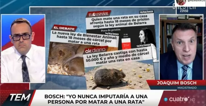 El magistrado Joaquim Bosch desmonta el bulo de que si matas a una rata irás a la cárcel