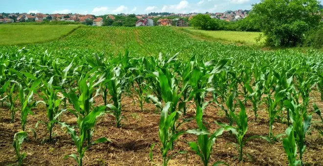 Productividad agrícola y biodiversidad, dos conceptos que pueden ser compatibles