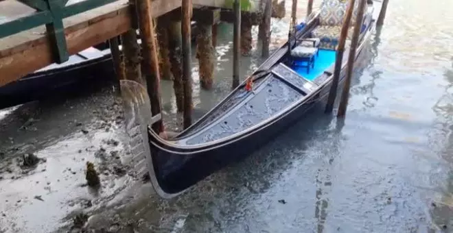 La marea baja en Venecia desluce el Carnaval y pone en jaque la movilidad en los canales