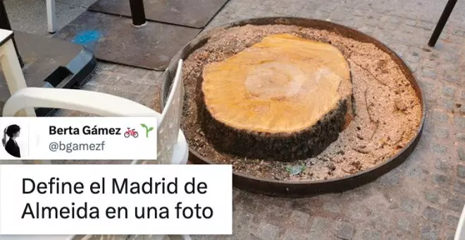 "Define el Madrid de Almeida en una foto": críticas por otro árbol que desaparece en el centro de la capital