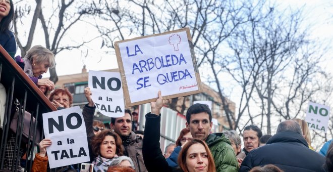 La Justicia rechaza la petición de paralizar la tala masiva de árboles en Madrid por las obras de la Línea 11 de Metro