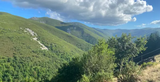 El sector forestal de Cantabria traslada a los partidos políticos una veintena de medidas "urgentes"