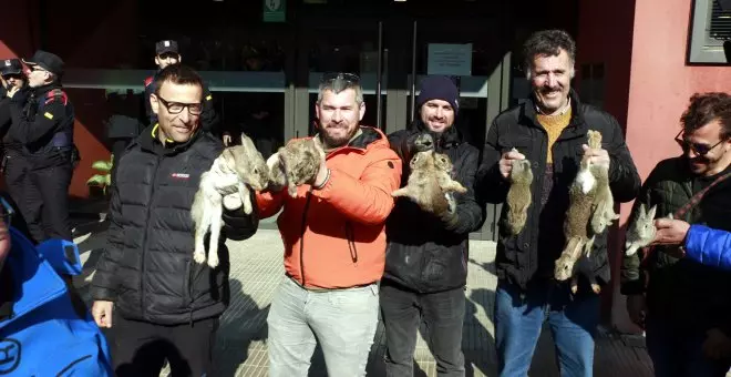 Una plaga de conejos provoca estragos en la agricultura y las granjas cierran por el descenso del consumo en Catalunya